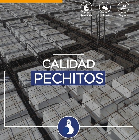 losa reticular de caseton